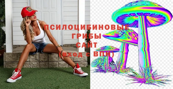 ALPHA PVP Кодинск