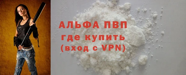 PSILOCYBIN Козловка
