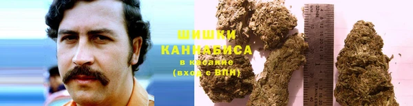 PSILOCYBIN Козловка