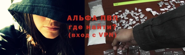 PSILOCYBIN Козловка