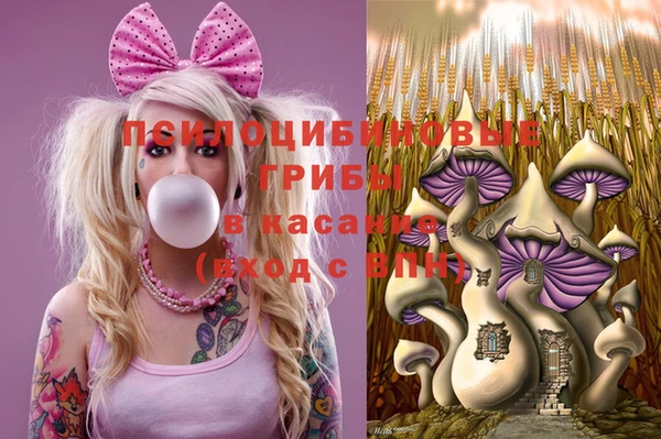 спайс Козельск