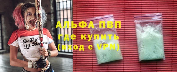 PSILOCYBIN Козловка