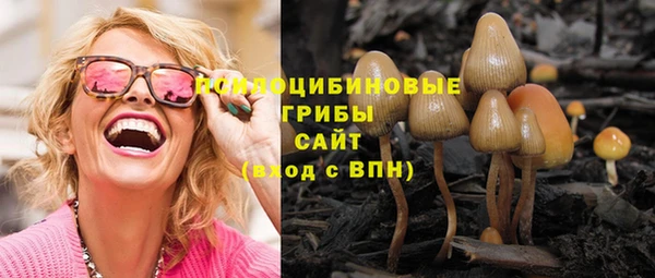 спайс Козельск