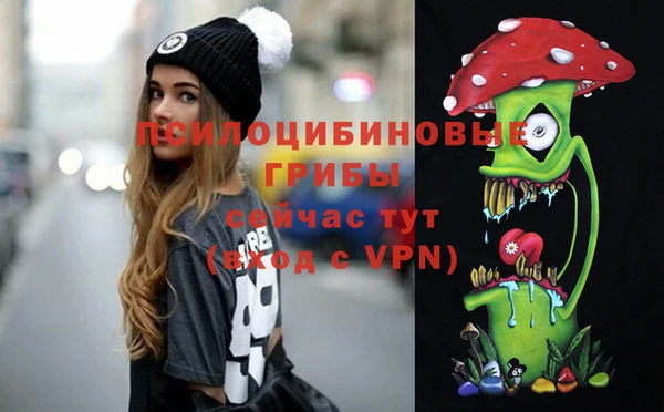 ALPHA PVP Кодинск