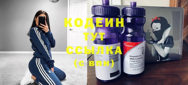 PSILOCYBIN Козловка